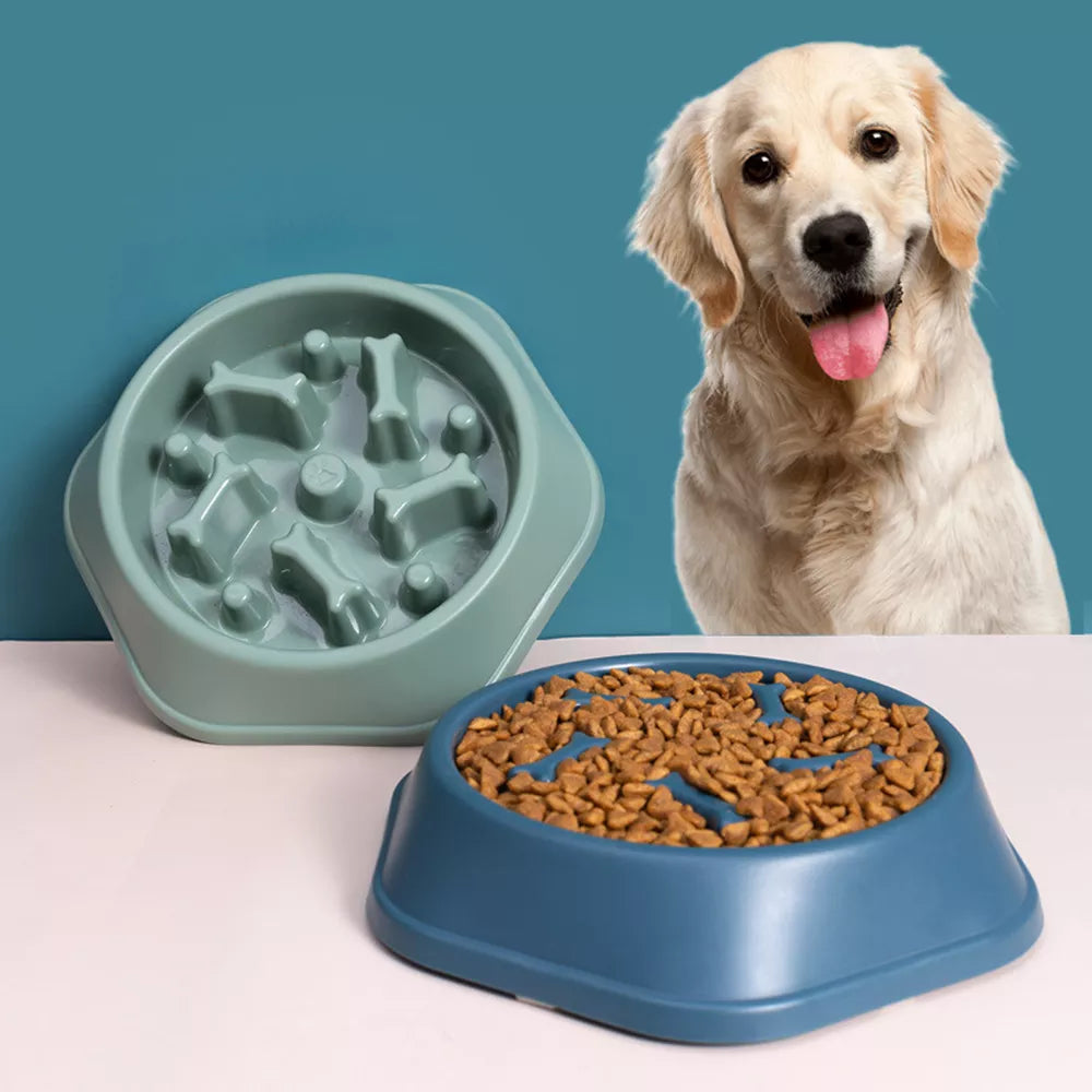 Dog Slow Food Bowl